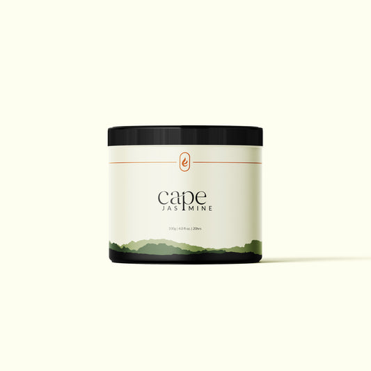 Cape Jasmine