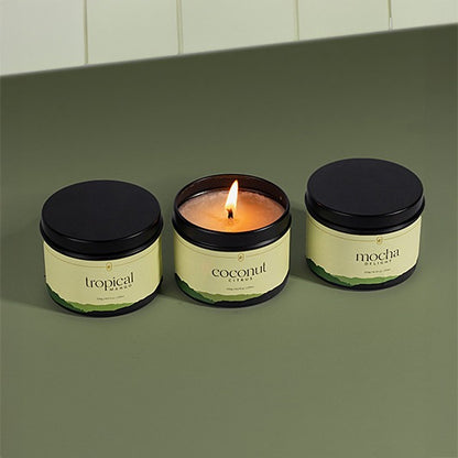 Standard Trio Bundle