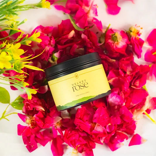 Velvet Rose