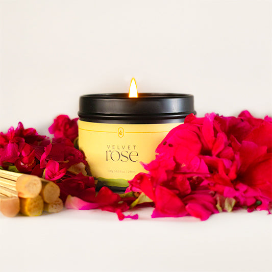 Velvet Rose